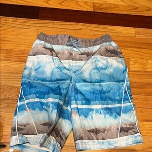 Blue and Gray Shark Print Swim Shorts